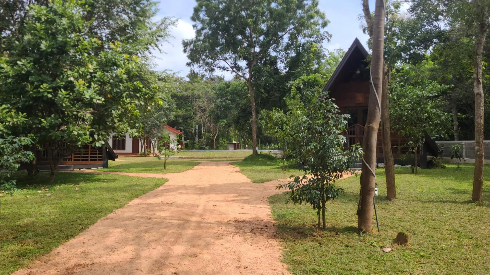 Lion King Jungle Cabanas Sigiriya Exteriér fotografie