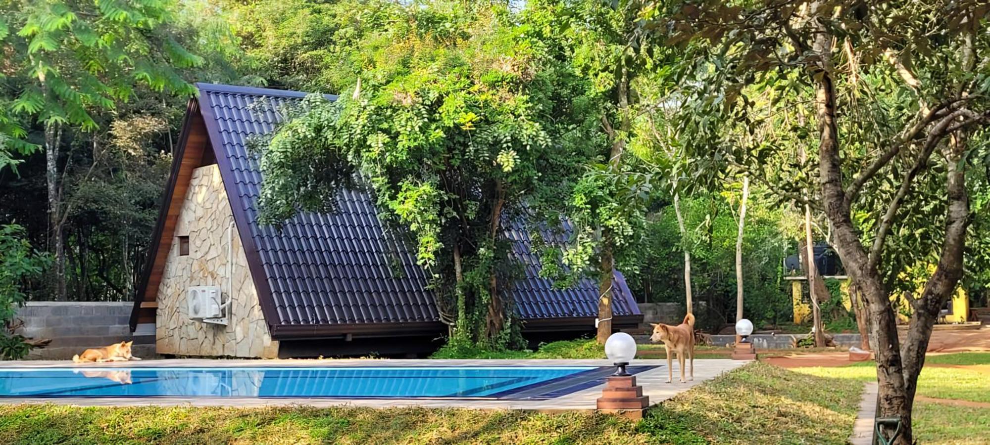 Lion King Jungle Cabanas Sigiriya Exteriér fotografie