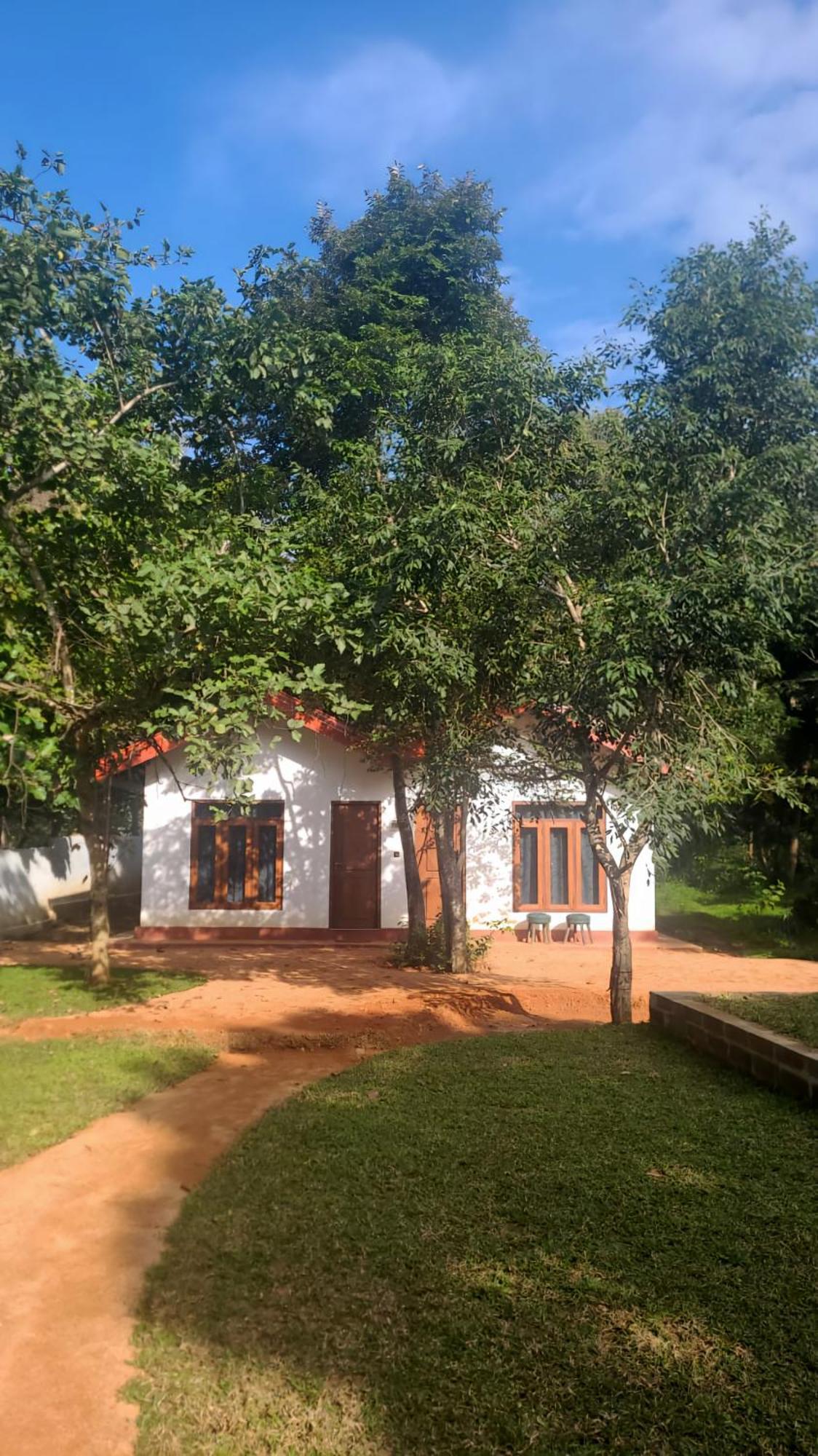 Lion King Jungle Cabanas Sigiriya Exteriér fotografie